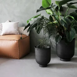 Blumenkasten, Vig, Grau