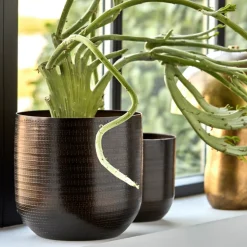 Blumentopf, HDIrene, Antikes Braun