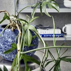 Blumentopf, HDPavi, Blau