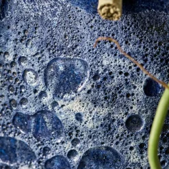 Blumentopf, HDPavi, Blau