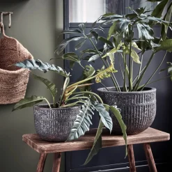 Blumentopf, HDSuco, Grau