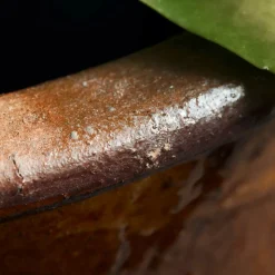 Blumentopf, Whai, Senfgelb