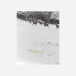 Grußkarten, HDWinter w. envelope, Weiß