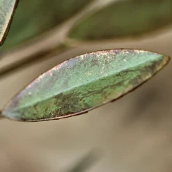 Kerzenständer, HDLeaves, Antikes Grün