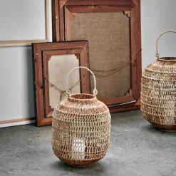 Laterne, HDDive, Natur