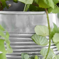 Pflanzer, HDGroove, Antiksilber-Finish