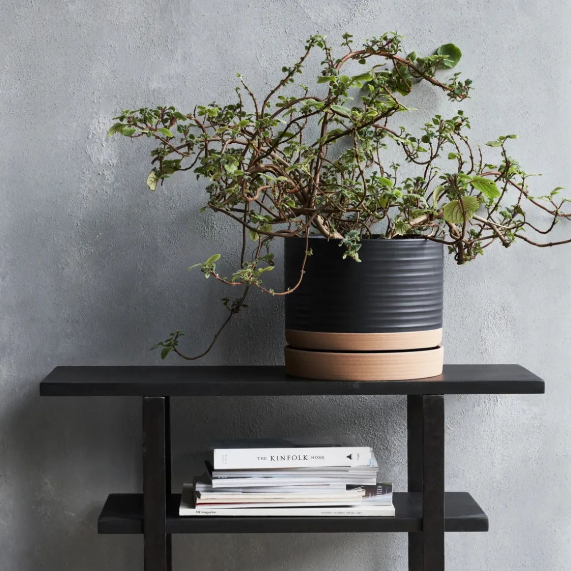 Pflanzgefäß m. Untertasse, HDAstu, Schwarz/Natur