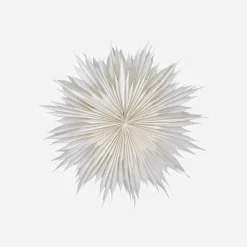 Stern, HDDust, Off-White