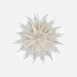 Stern, HDDust, Off-White