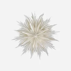 Stern, HDDust, Off-White