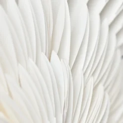 Stern, HDLayer, Weiß