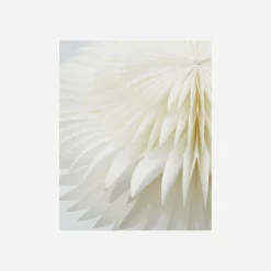 Stern, HDLayer, Weiß