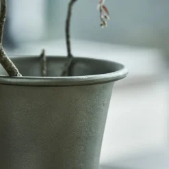 Vase, Florist, Grün