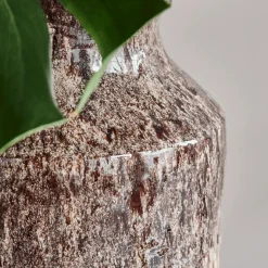 Vase, HDMaya, Antikes Braun